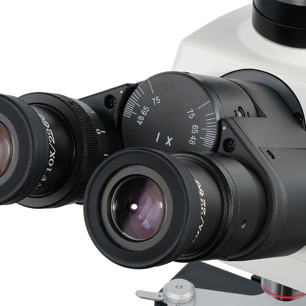 MICROSCOPIO TRINOCULAR GREAT LAB XSZ-166T - Imagen 2